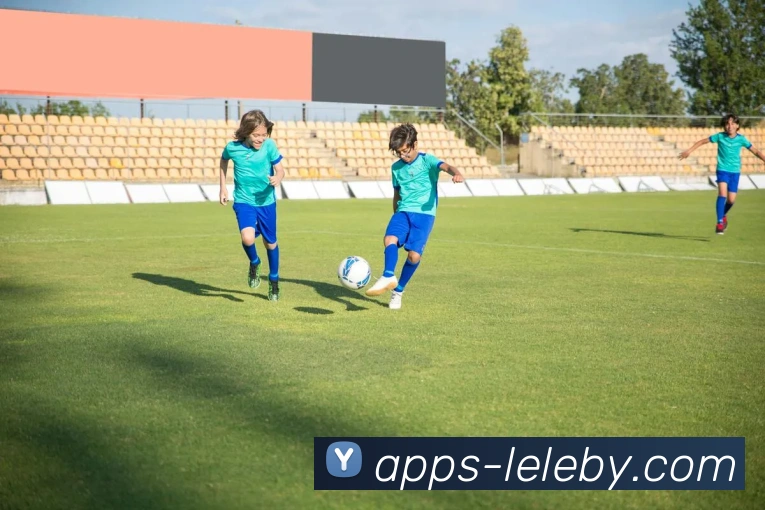 乐乐捕鱼(LELE)官方授权信息服务中心平台生态图