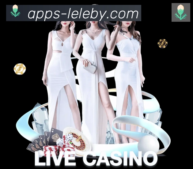 App Interface Preview